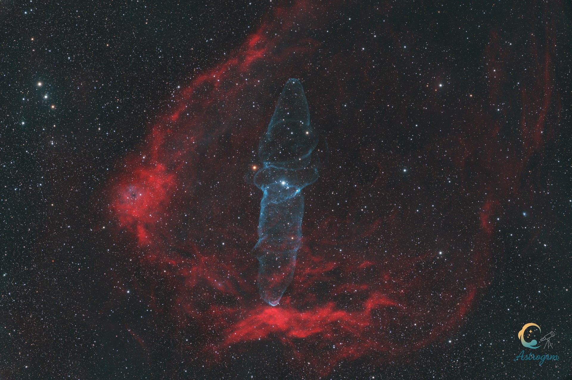 Giant Squid inside Flying Bat Nebulas