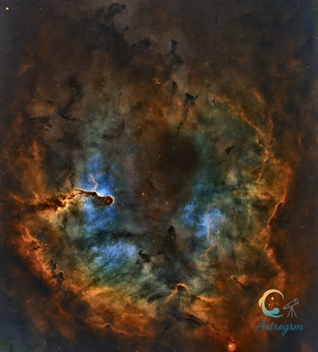 Elephant's Trunk Nebula - Nebulae