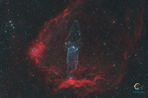Sharpless Sh2-129, Other OU4 - Giant Squid inside Flying Bat Nebulas